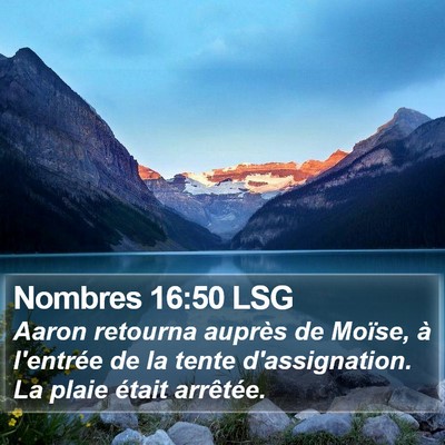 Nombres 16:50 LSG Bible Verse Image
