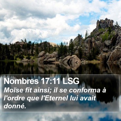 Nombres 17:11 LSG Bible Verse Image