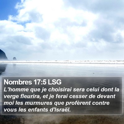 Nombres 17:5 LSG Bible Verse Image