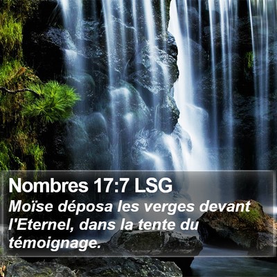 Nombres 17:7 LSG Bible Verse Image