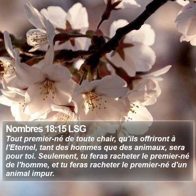 Nombres 18:15 LSG Bible Verse Image