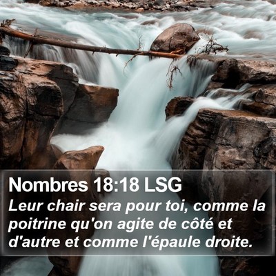 Nombres 18:18 LSG Bible Verse Image