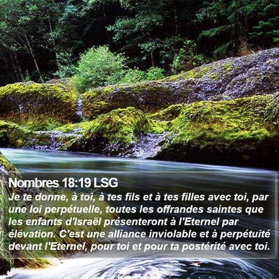 Nombres 18:19 LSG Bible Verse Image
