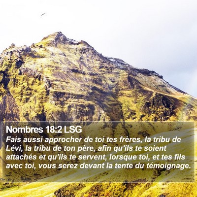 Nombres 18:2 LSG Bible Verse Image