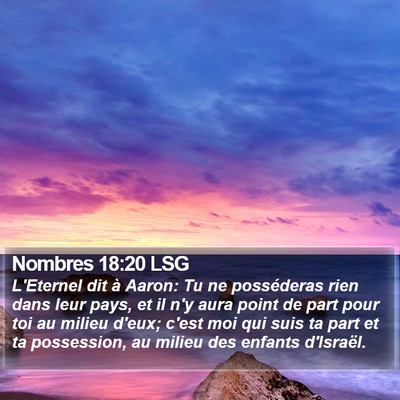 Nombres 18:20 LSG Bible Verse Image