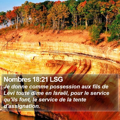 Nombres 18:21 LSG Bible Verse Image