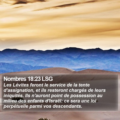 Nombres 18:23 LSG Bible Verse Image