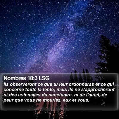 Nombres 18:3 LSG Bible Verse Image