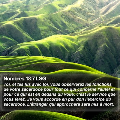 Nombres 18:7 LSG Bible Verse Image