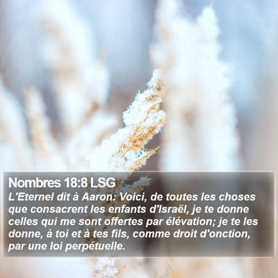 Nombres 18:8 LSG Bible Verse Image