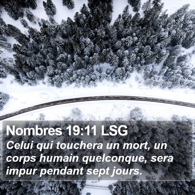 Nombres 19:11 LSG Bible Verse Image