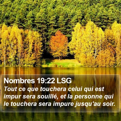 Nombres 19:22 LSG Bible Verse Image