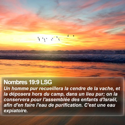 Nombres 19:9 LSG Bible Verse Image