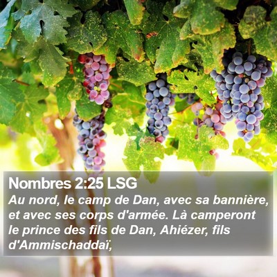 Nombres 2:25 LSG Bible Verse Image