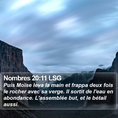 Nombres 20:11 LSG Bible Verse Image