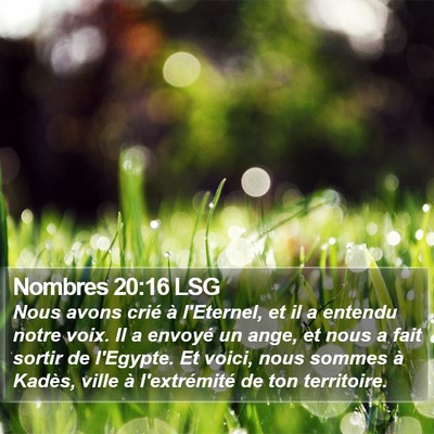 Nombres 20:16 LSG Bible Verse Image