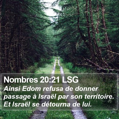 Nombres 20:21 LSG Bible Verse Image