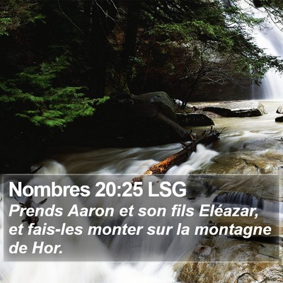 Nombres 20:25 LSG Bible Verse Image