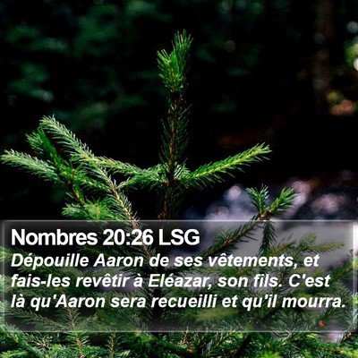 Nombres 20:26 LSG Bible Verse Image