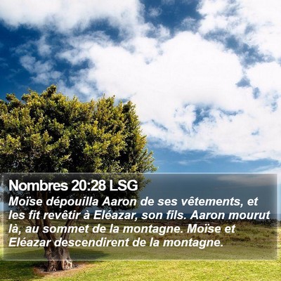 Nombres 20:28 LSG Bible Verse Image