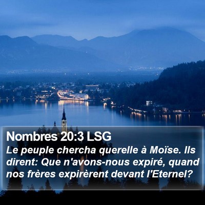 Nombres 20:3 LSG Bible Verse Image