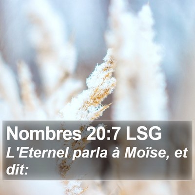 Nombres 20:7 LSG Bible Verse Image