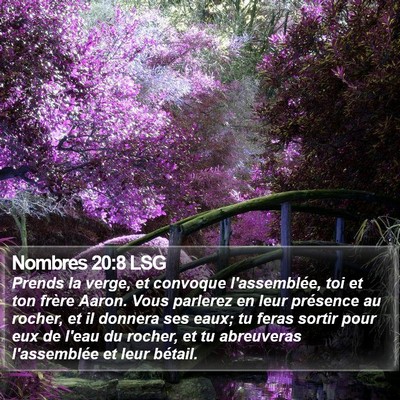 Nombres 20:8 LSG Bible Verse Image