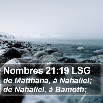 Nombres 21:19 LSG Bible Verse Image