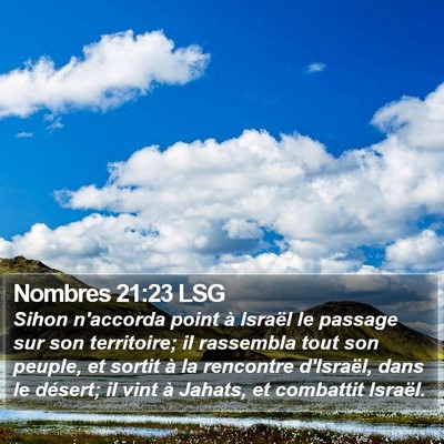 Nombres 21:23 LSG Bible Verse Image