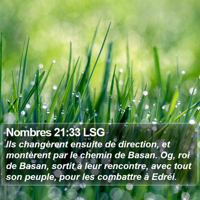 Nombres 21:33 LSG Bible Verse Image