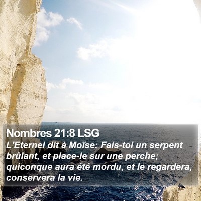 Nombres 21:8 LSG Bible Verse Image