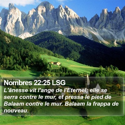 Nombres 22:25 LSG Bible Verse Image