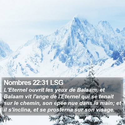 Nombres 22:31 LSG Bible Verse Image