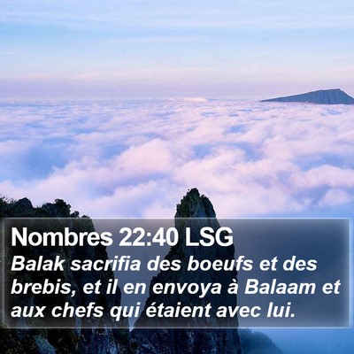 Nombres 22:40 LSG Bible Verse Image
