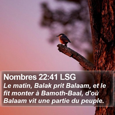 Nombres 22:41 LSG Bible Verse Image