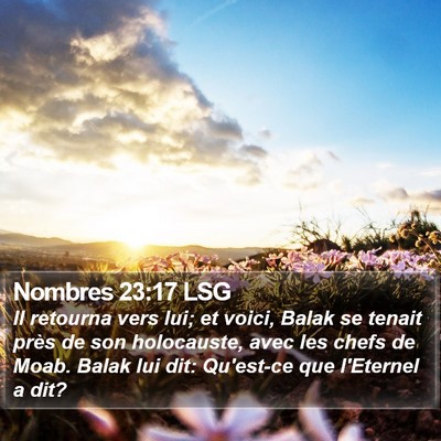 Nombres 23:17 LSG Bible Verse Image