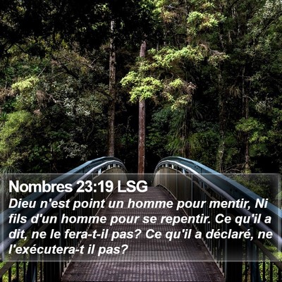 Nombres 23:19 LSG Bible Verse Image