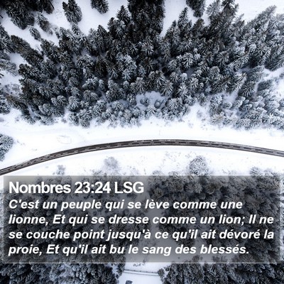 Nombres 23:24 LSG Bible Verse Image