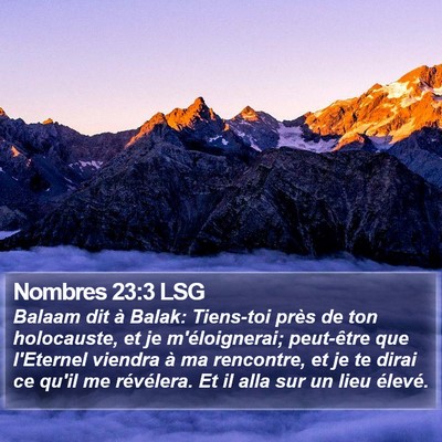Nombres 23:3 LSG Bible Verse Image