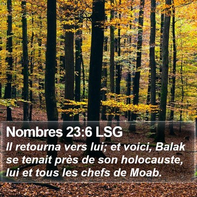 Nombres 23:6 LSG Bible Verse Image