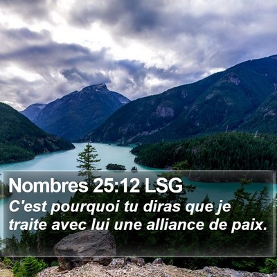 Nombres 25:12 LSG Bible Verse Image