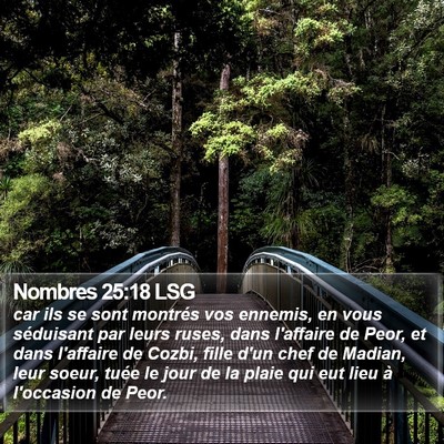 Nombres 25:18 LSG Bible Verse Image