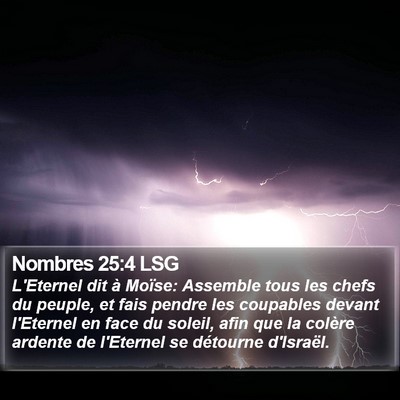 Nombres 25:4 LSG Bible Verse Image