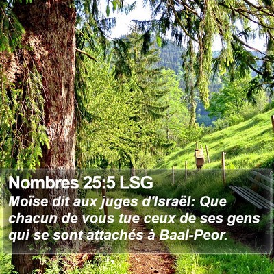 Nombres 25:5 LSG Bible Verse Image
