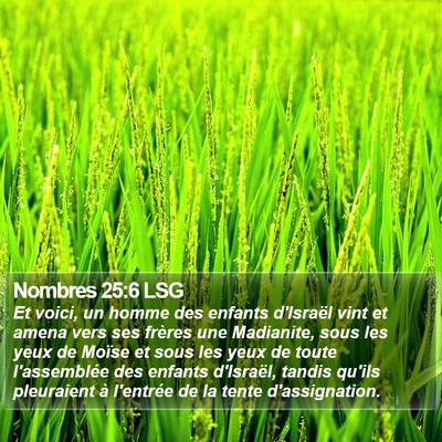Nombres 25:6 LSG Bible Verse Image