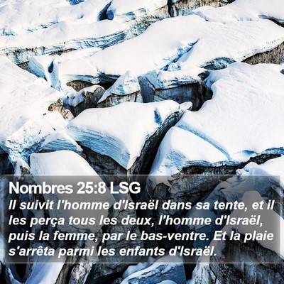 Nombres 25:8 LSG Bible Verse Image