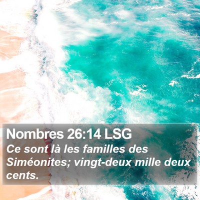Nombres 26:14 LSG Bible Verse Image