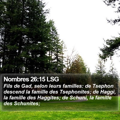 Nombres 26:15 LSG Bible Verse Image