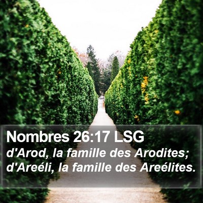 Nombres 26:17 LSG Bible Verse Image