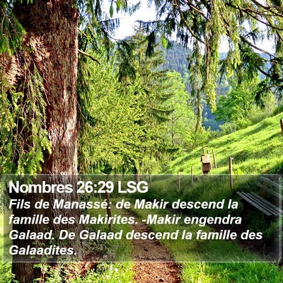 Nombres 26:29 LSG Bible Verse Image